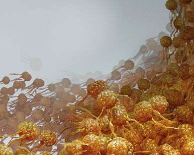 Header hero background for mobile