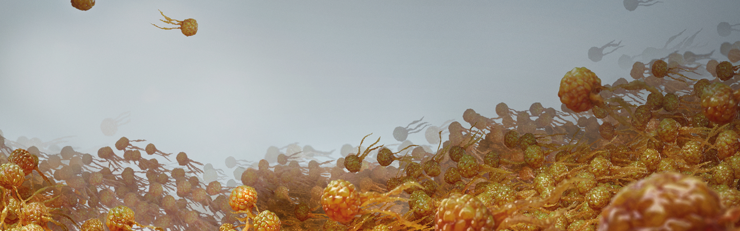 animated representation of triglycerides