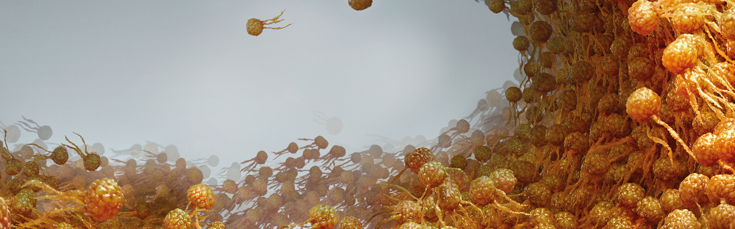 animated representation of triglycerides