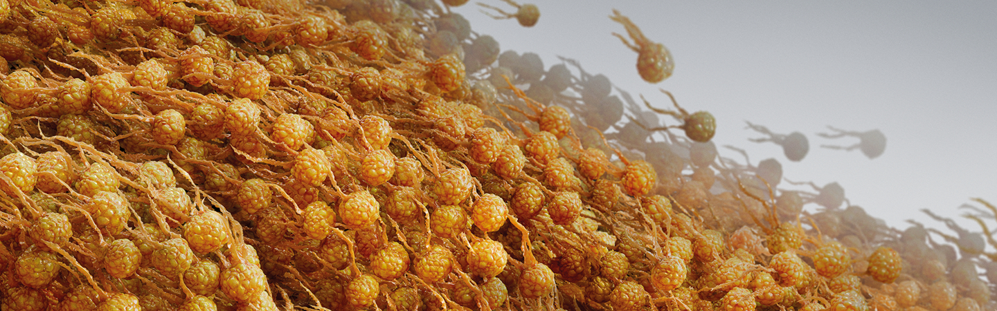 visual representation of triglycerides