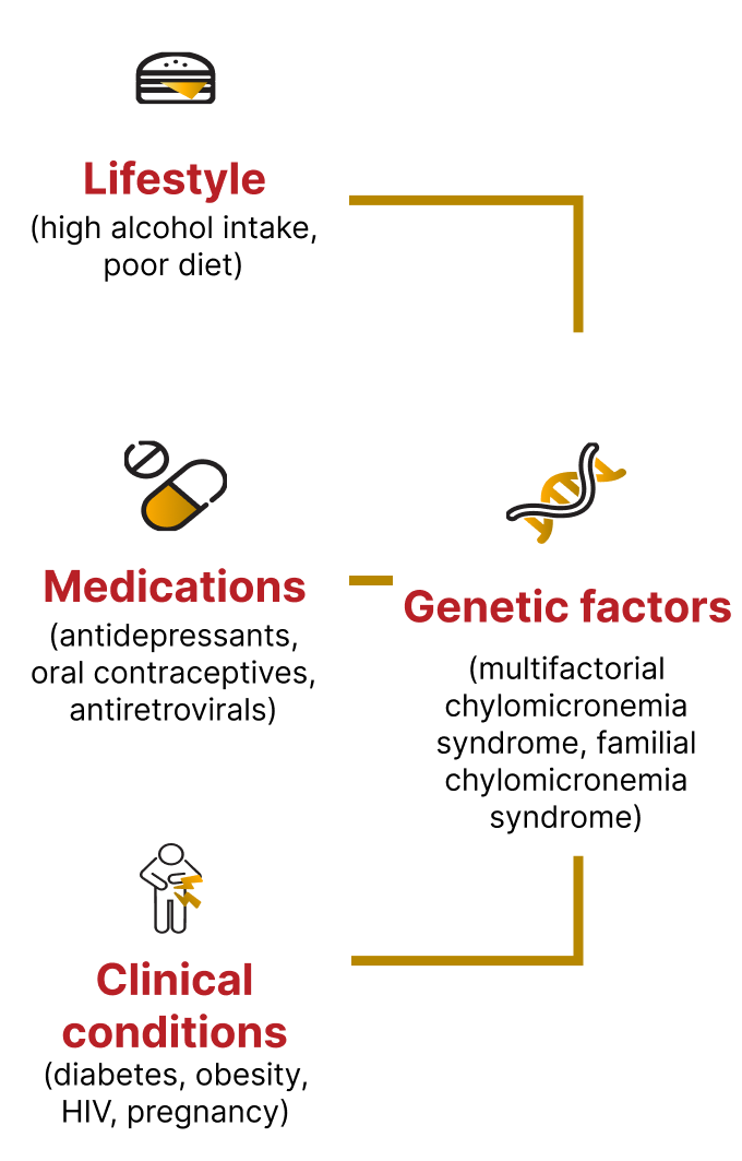 Image with text: Lifestyle factors, medications, clinical conditions, and underlying genetic factors can elevate triglyceride levels.