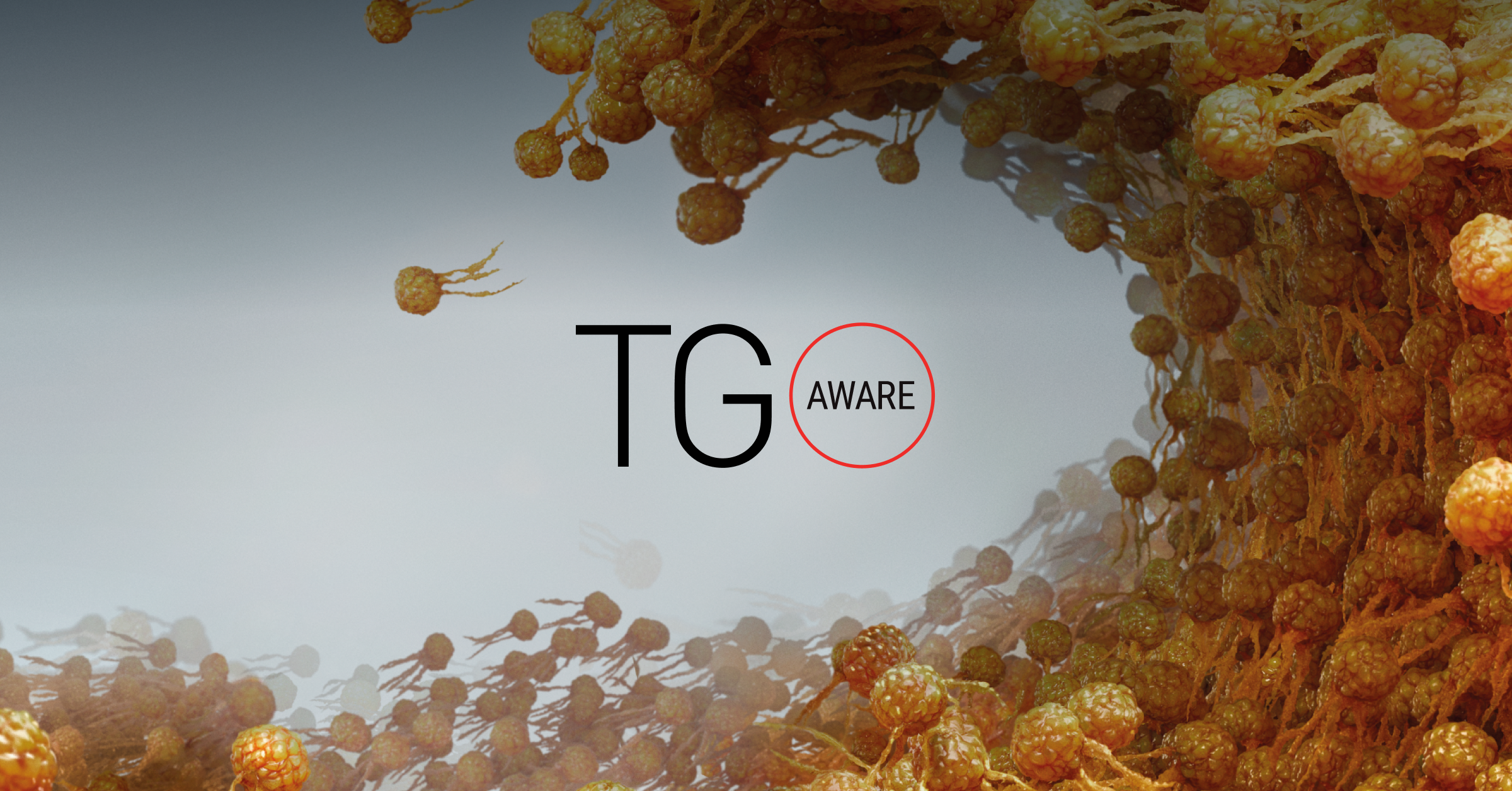 Resources for sHTG & FCS | TGAware