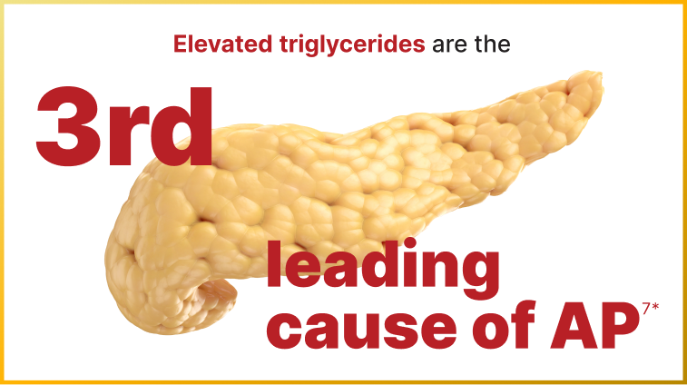 Image of triglyceride statis that it is the 3rd leading cause of AP