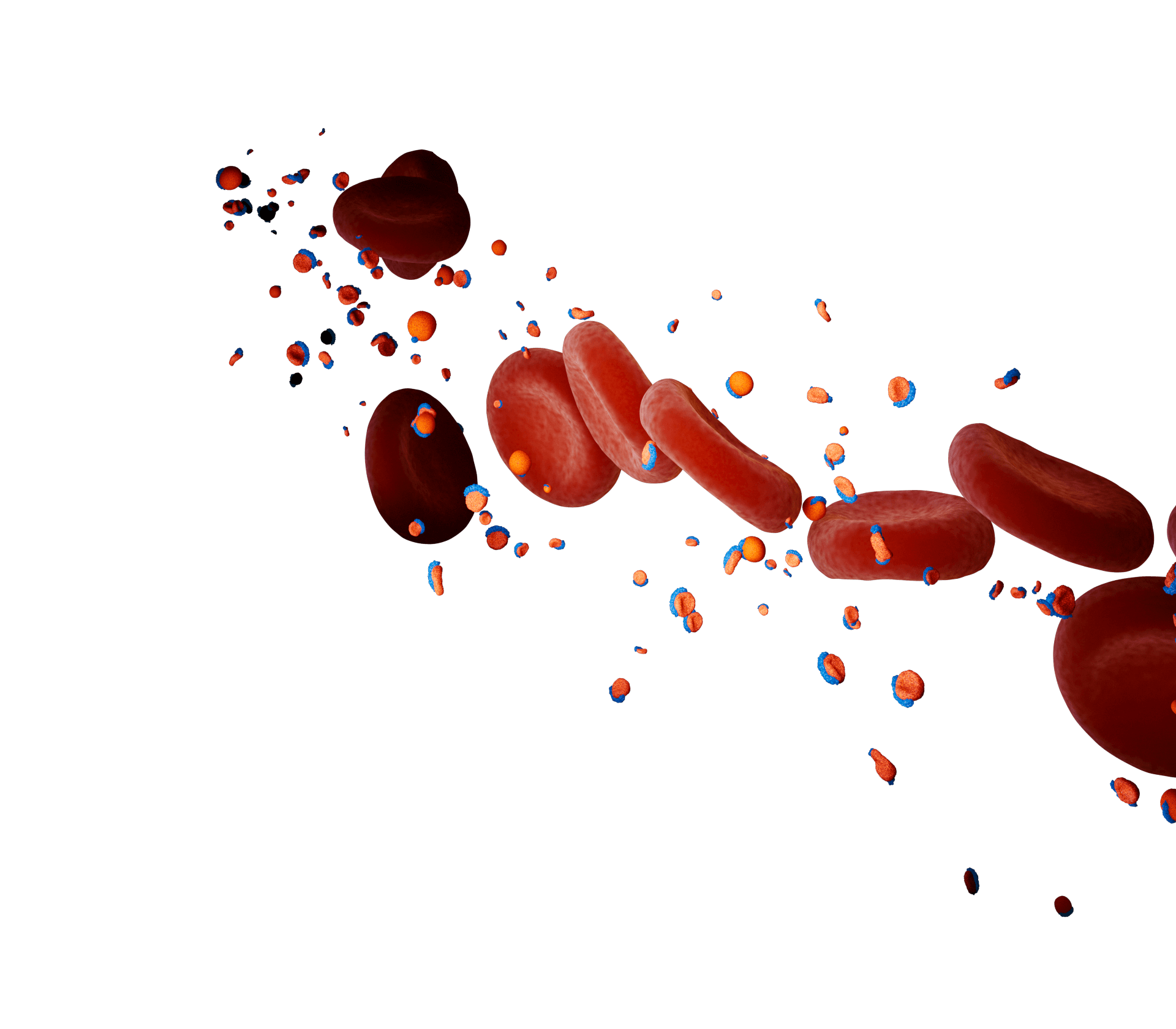 Accumulation of TRL remnants in the blood