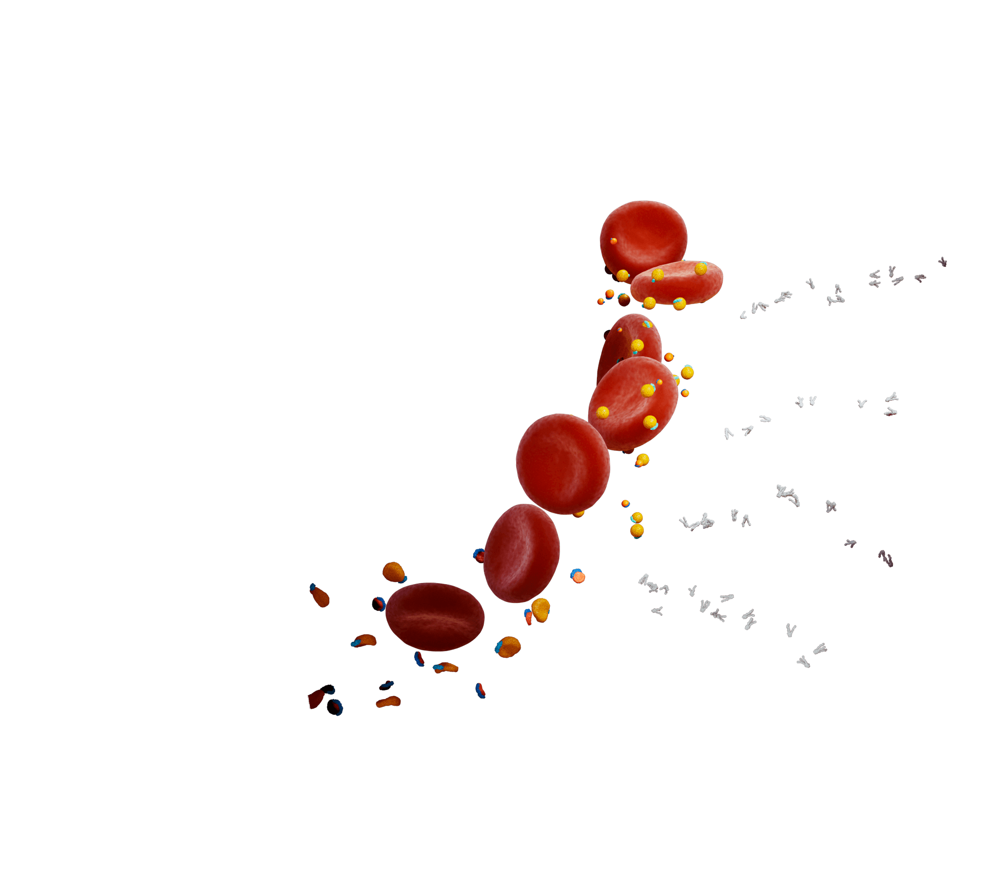 TRL Remnants & Fatty Acids