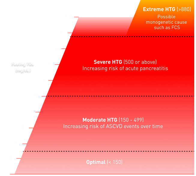 Fasting Triglyceride Levels Chart Chart showing fasting triglyceride levels categorized into optimal (<150 mg/dL), moderate hypertriglyceridemia (150-499 mg/dL) with increased ASCVD risk, severe hypertriglyceridemia (500+ mg/dL) with increased acute pancreatitis risk, and extreme hypertriglyceridemia (>880 mg/dL) possibly linked to monogenetic causes like familial chylomicronemia syndrome (FCS).